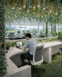 Offices